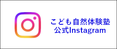公式インスタグラム